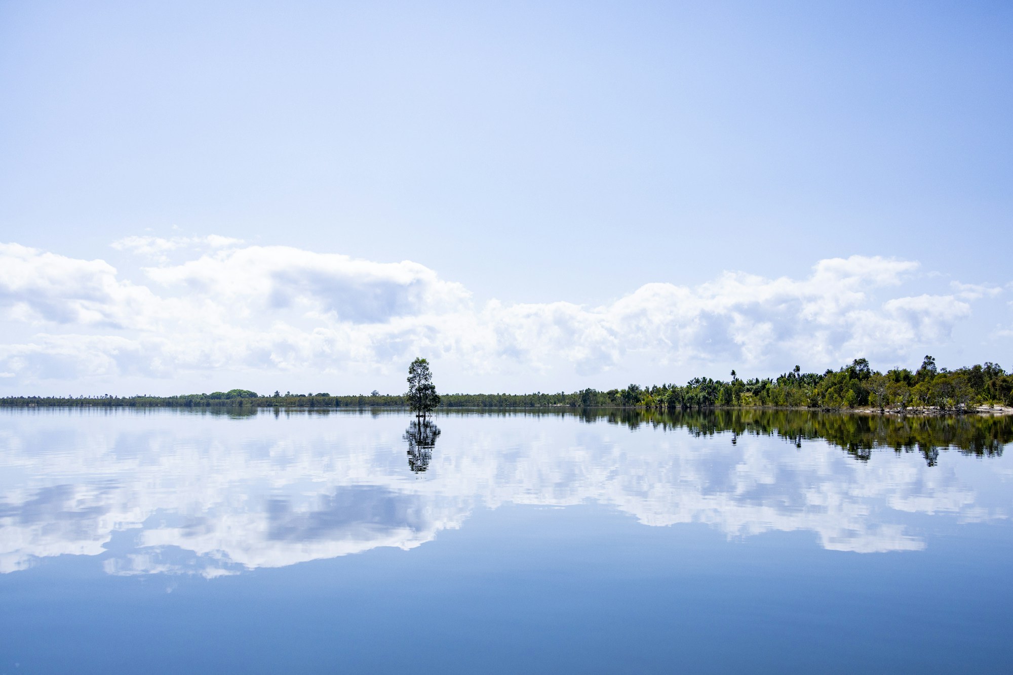 A wide, still lake mirrors a partly cloudy sky with a single tree and tree line along the shore.