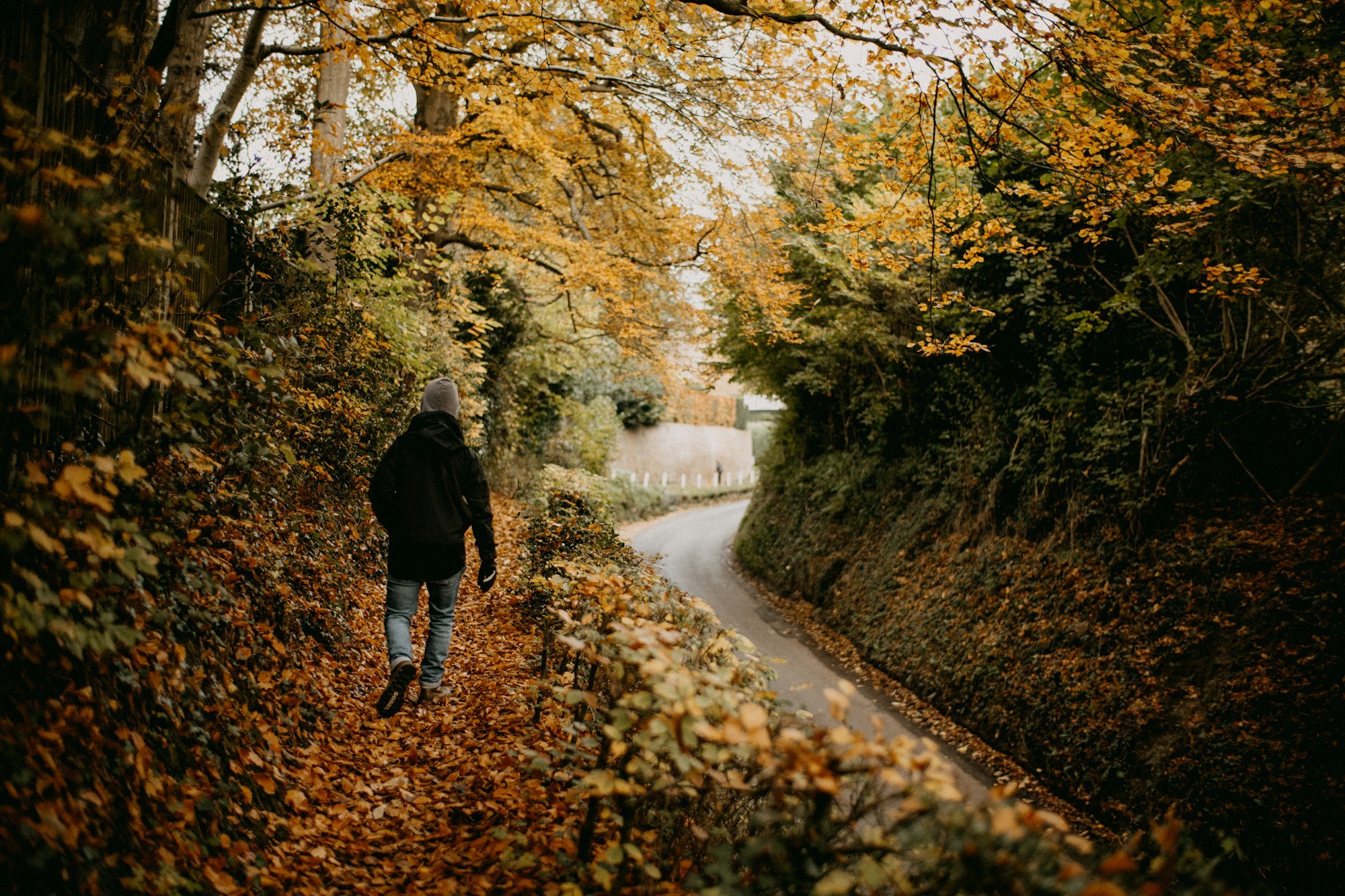 A tree-lined gravel path covered in golden autumn leaves leading toward a small brick chapel in a cemetery.