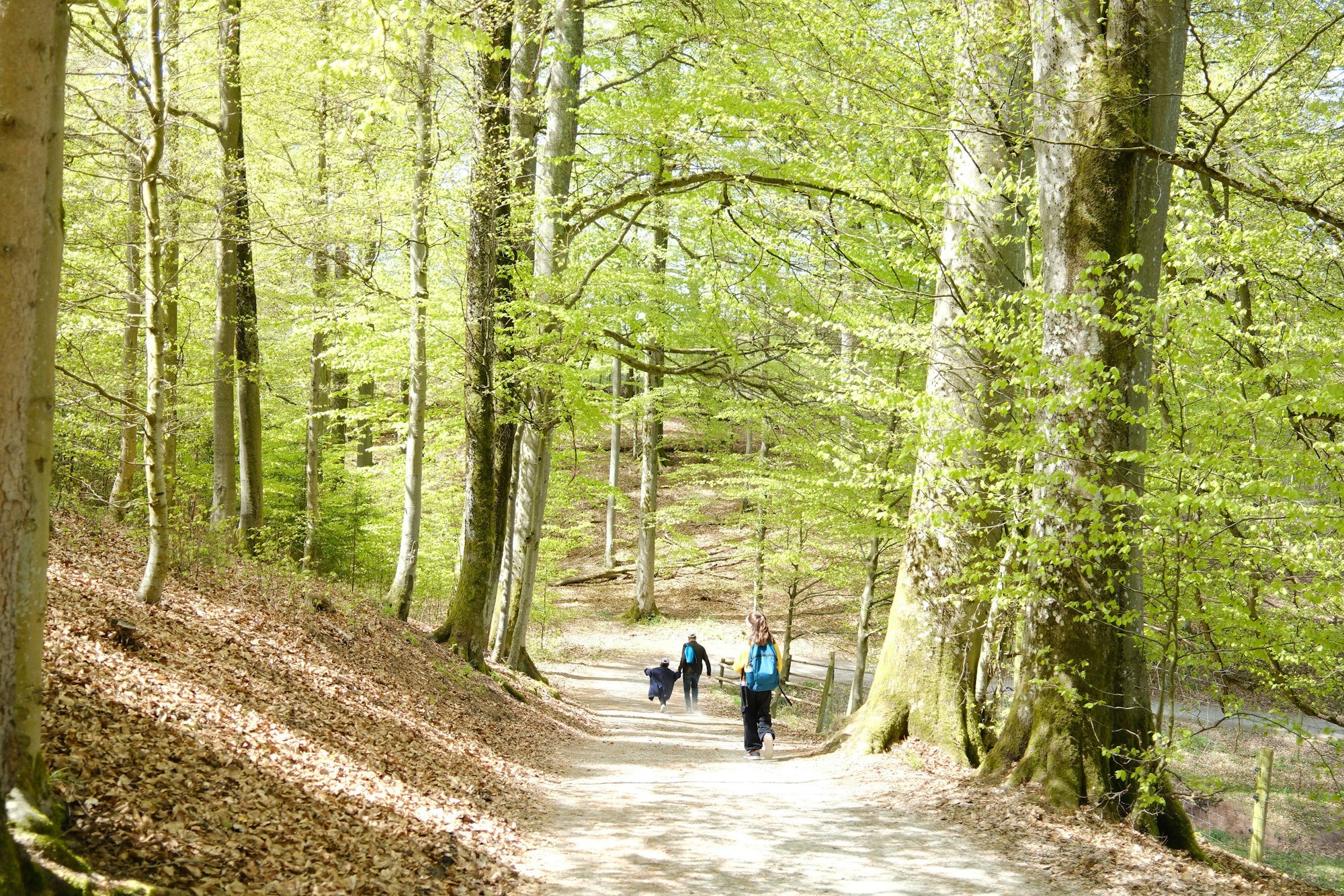 A family of four, including two children and two older adults, walk together down a paved path through bare winter trees near a lake.