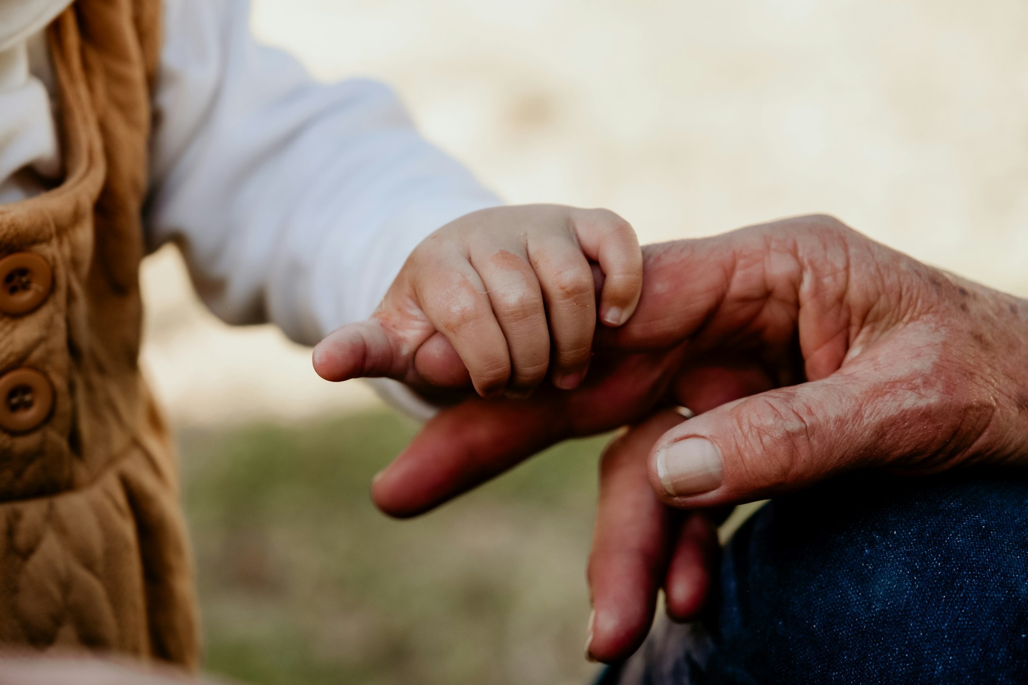 A close-up of a young person's hand gently holding the wrinkled hand of an older adult, representing the compassionate care families receive.