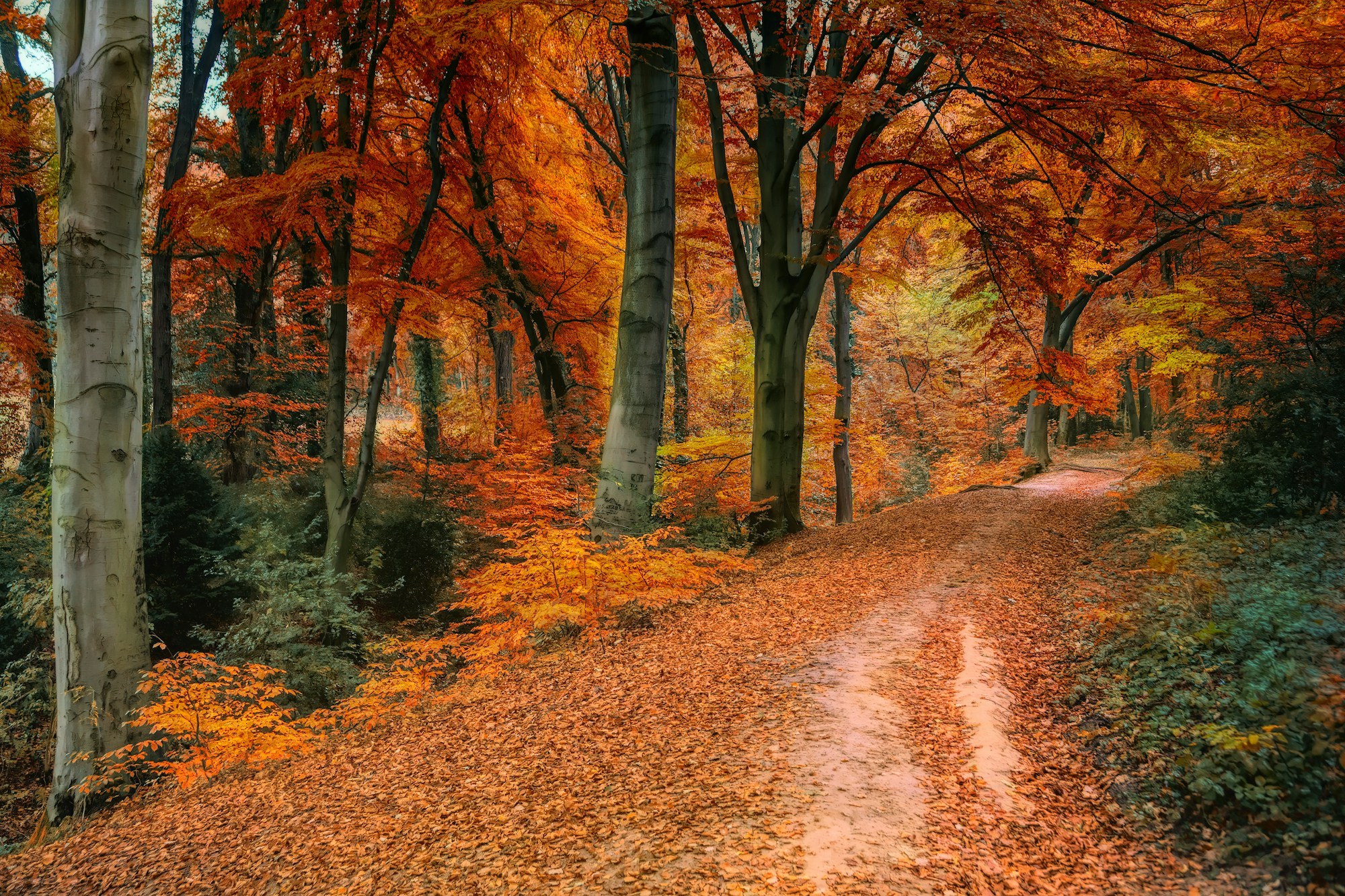 A tree-lined gravel path leads through a quiet, well-kept cemetery toward a small brick chapel, evoking the peaceful grounds found across Bergen County.