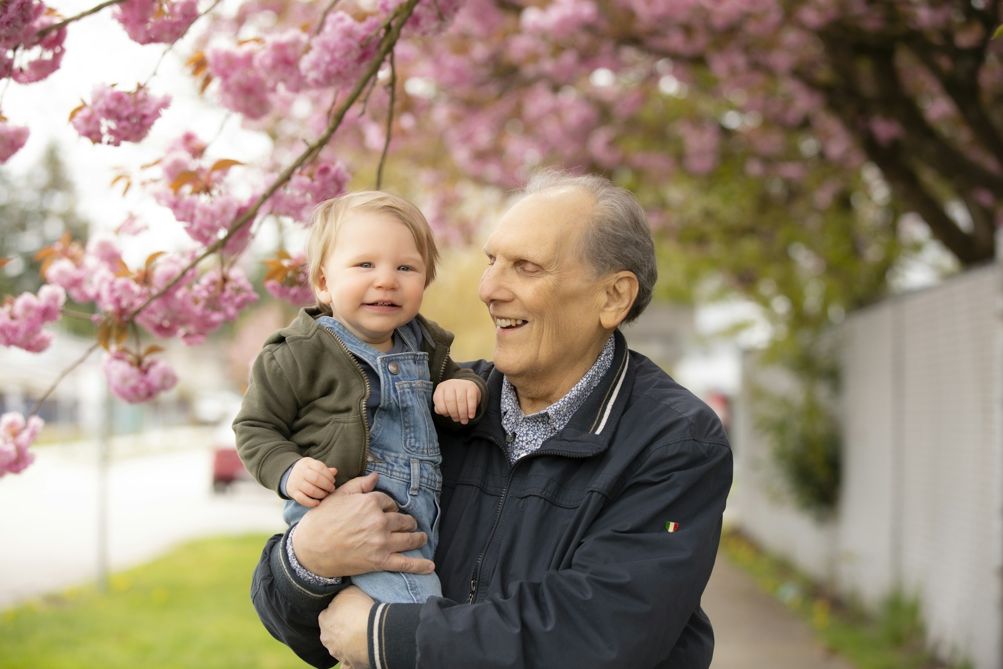 An older man smiles while holding a young child under a blossoming pink tree on a sidewalk, representing family legacy across generations.