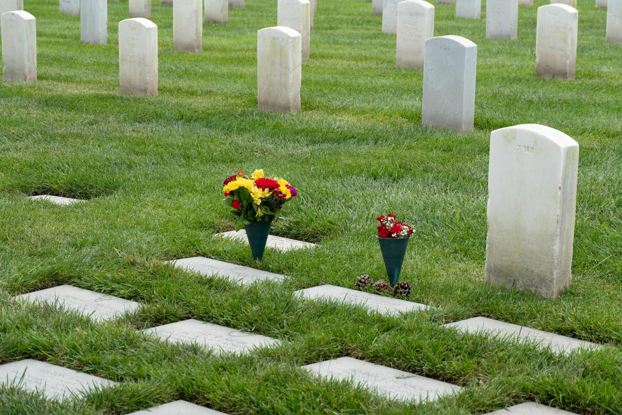 A couple in formal dark clothing hold hands beside a grave marker with a red rose in a sunlit cemetery.