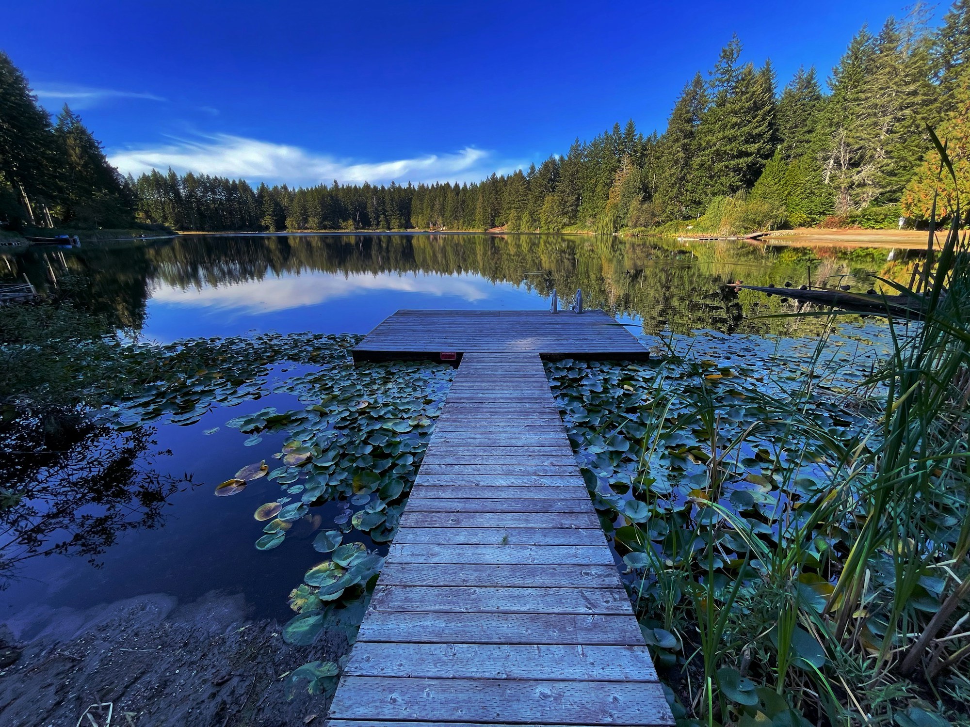 A wide, still lake mirrors a partly cloudy sky, with a single tree and tree line along the shore.