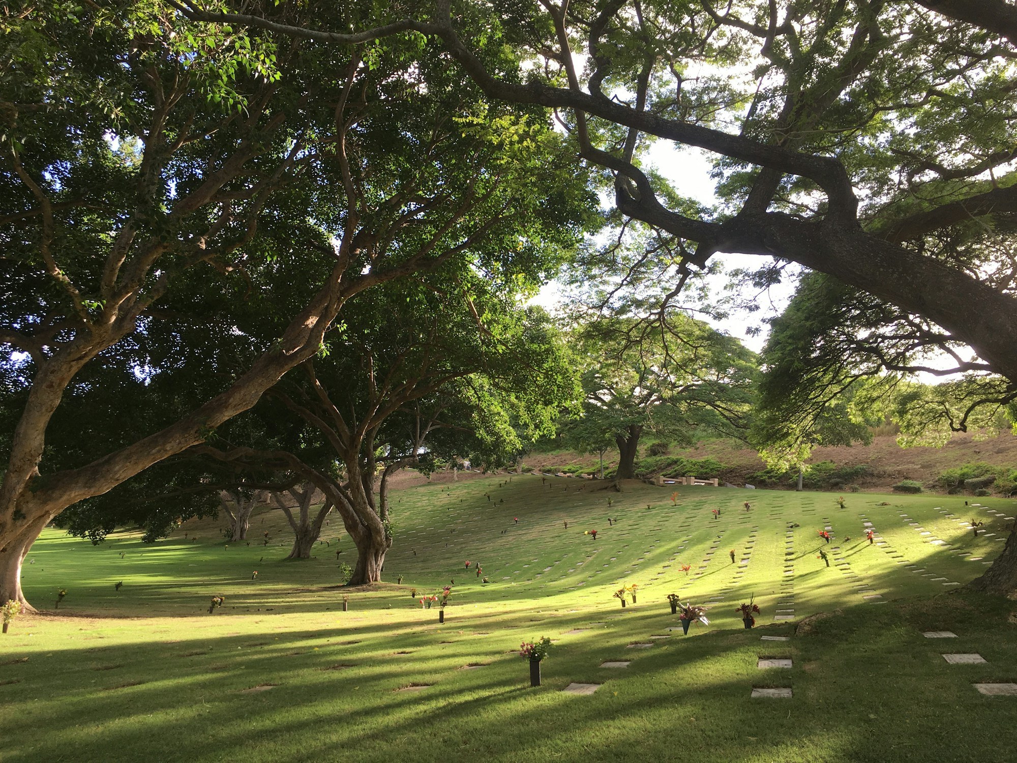 Flat memorial markers with small floral tributes are arranged in rows on a sloped lawn shaded by large trees.