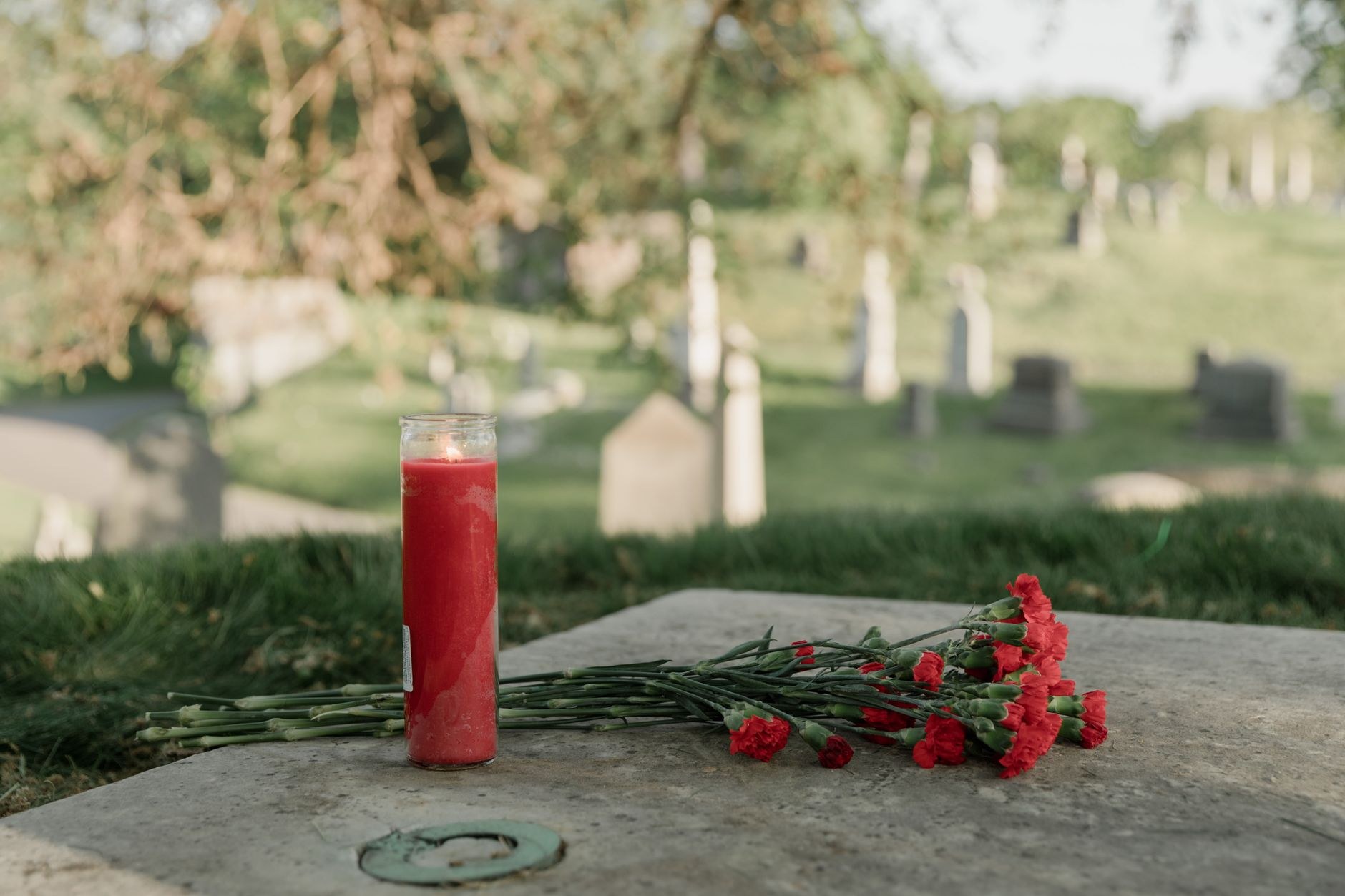 A lit red memorial candle and a bunch of red carnations rest on a gravestone in a cemetery.