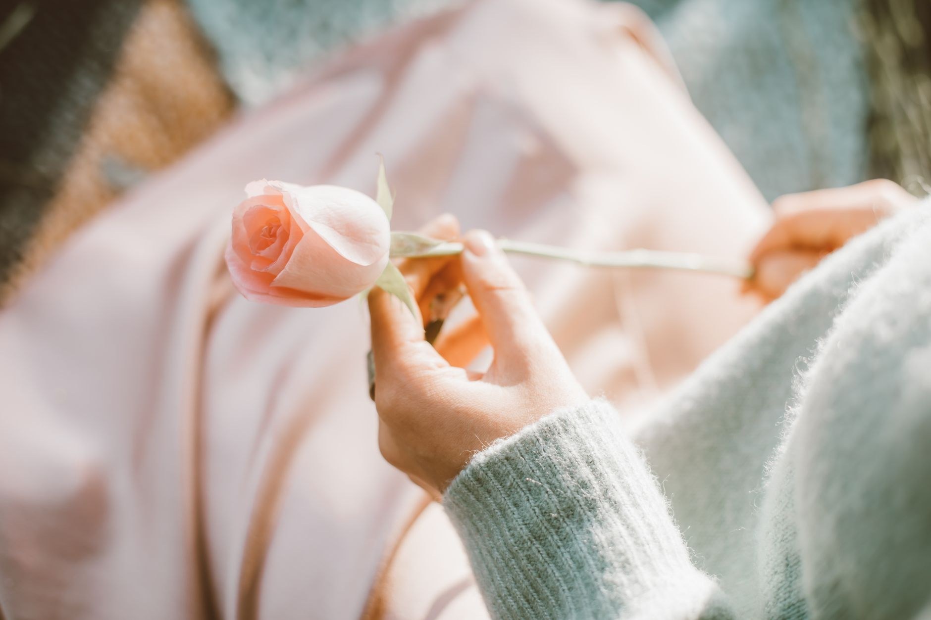 A hand rests gently on a polished casket while holding a single white rose, conveying a quiet, personal farewell.