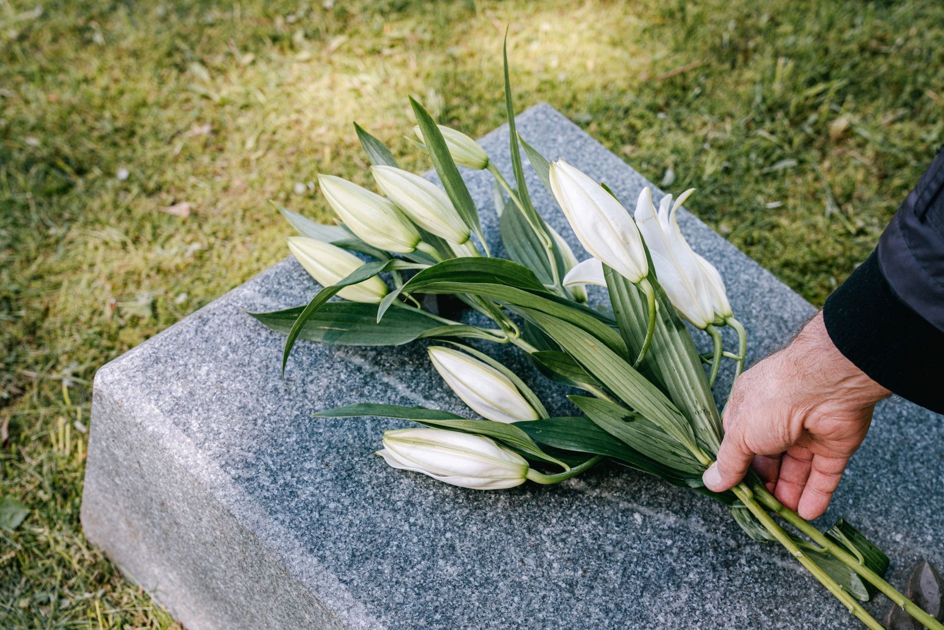 A couple in formal dark clothing hold hands beside a grave marker with a red rose in a sunlit cemetery.
