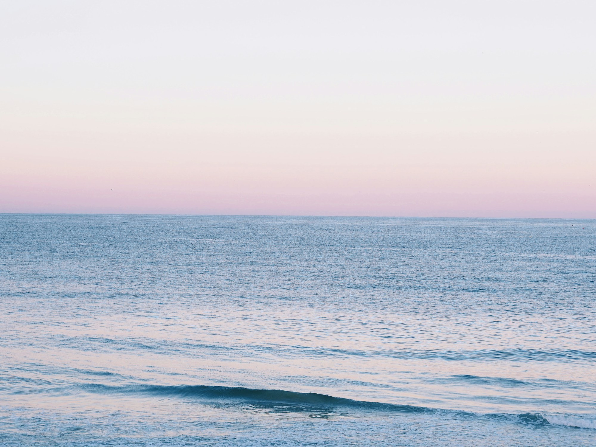An older man and a young child walk together along an ocean shoreline.